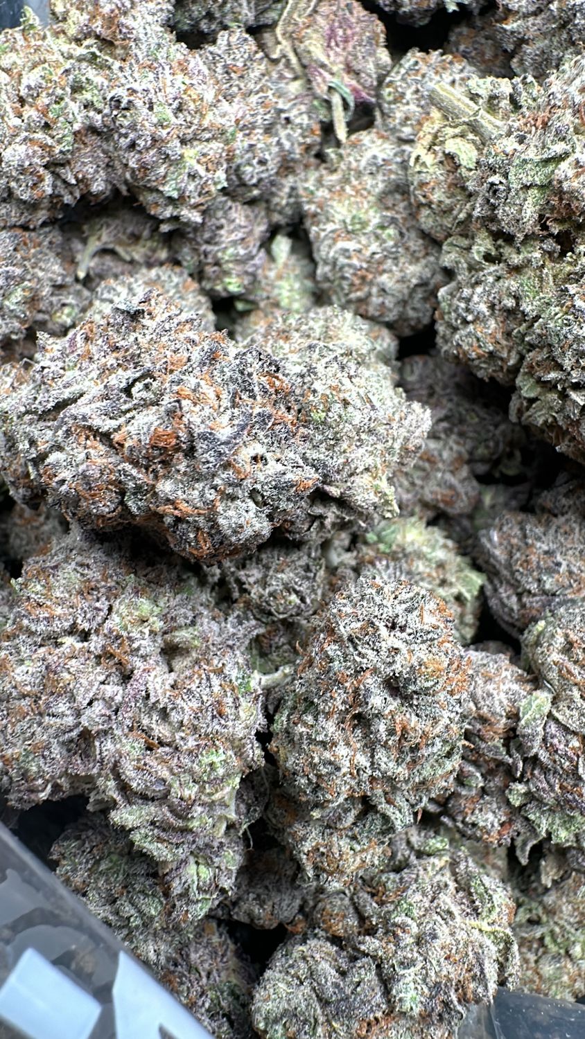 AAAA+ DOSI PUNCH (LS0)