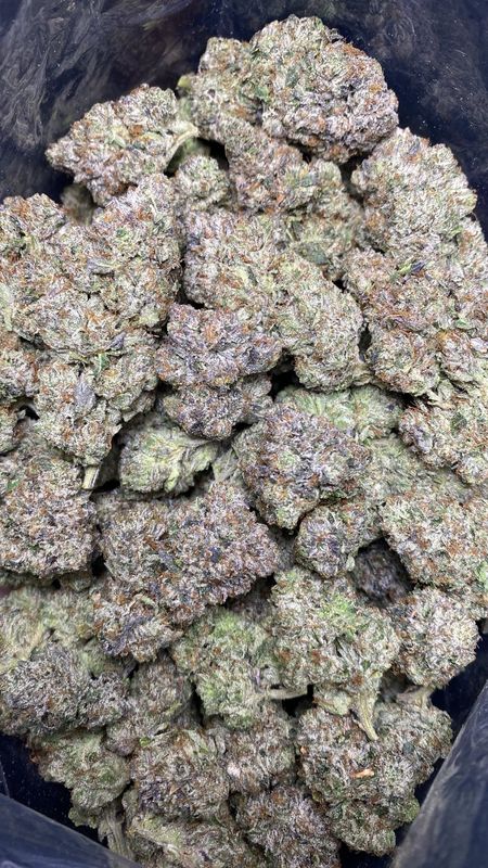 AAAA+ ROCKSTAR TUNA (LS0)