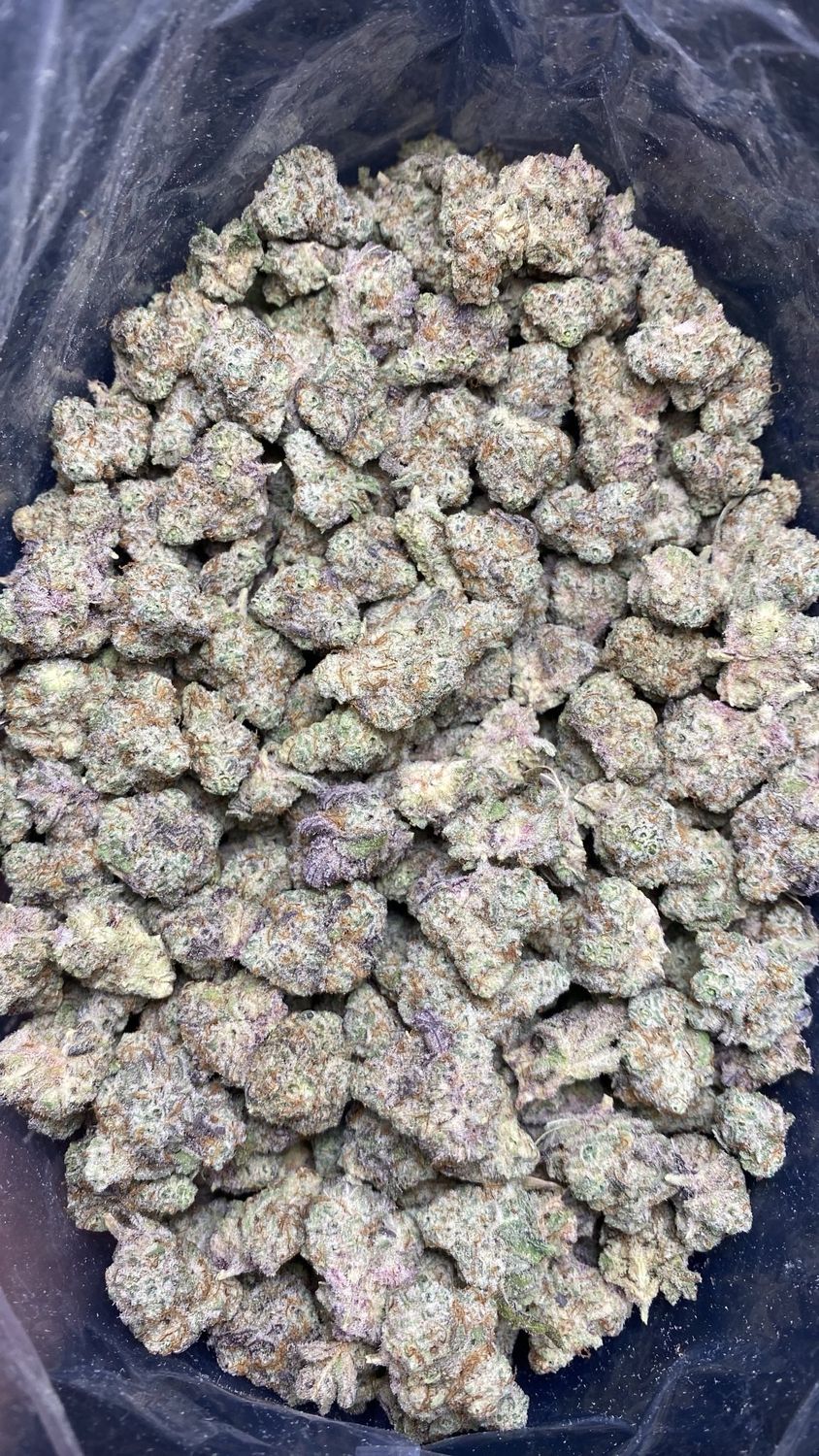 1OZ AAAA+ MIRACLE ALIEN COOKIES (LSO) SM/MED.