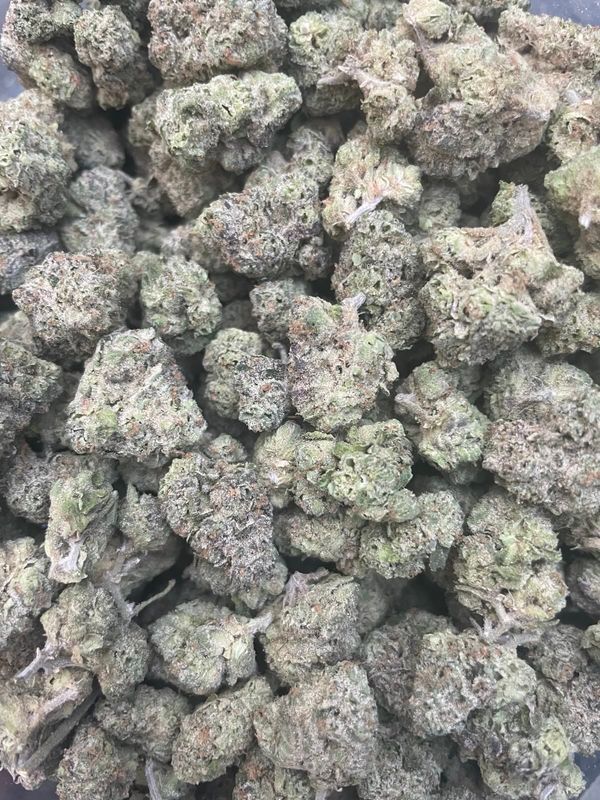 1OZ AAAA+ TROPICAL RUNTZ (LSO) SM/MED.