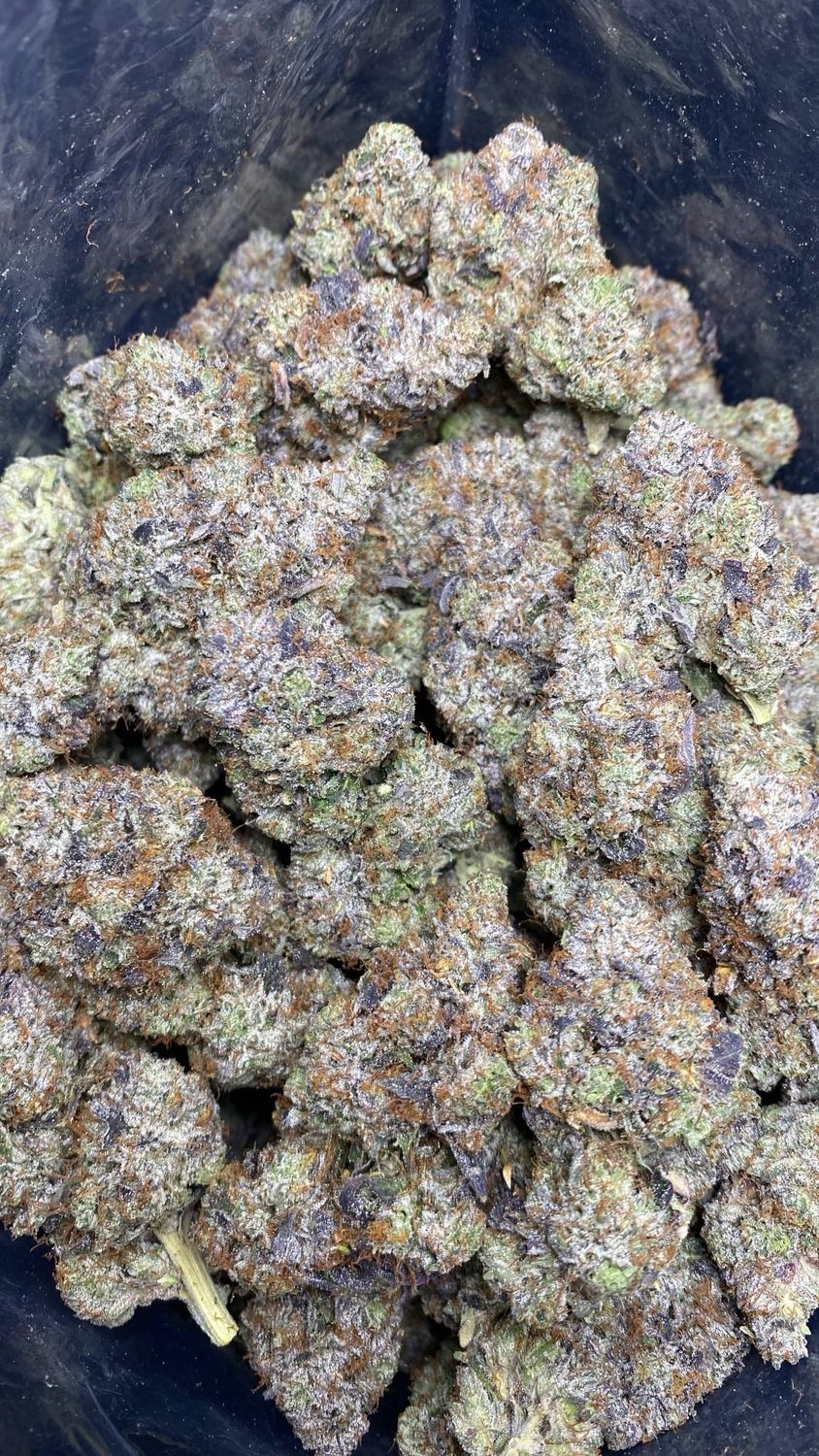 AAAA+ EL CHAPO (LS0)