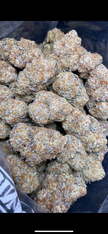 AAAA+ LEMON TREE (LS0)