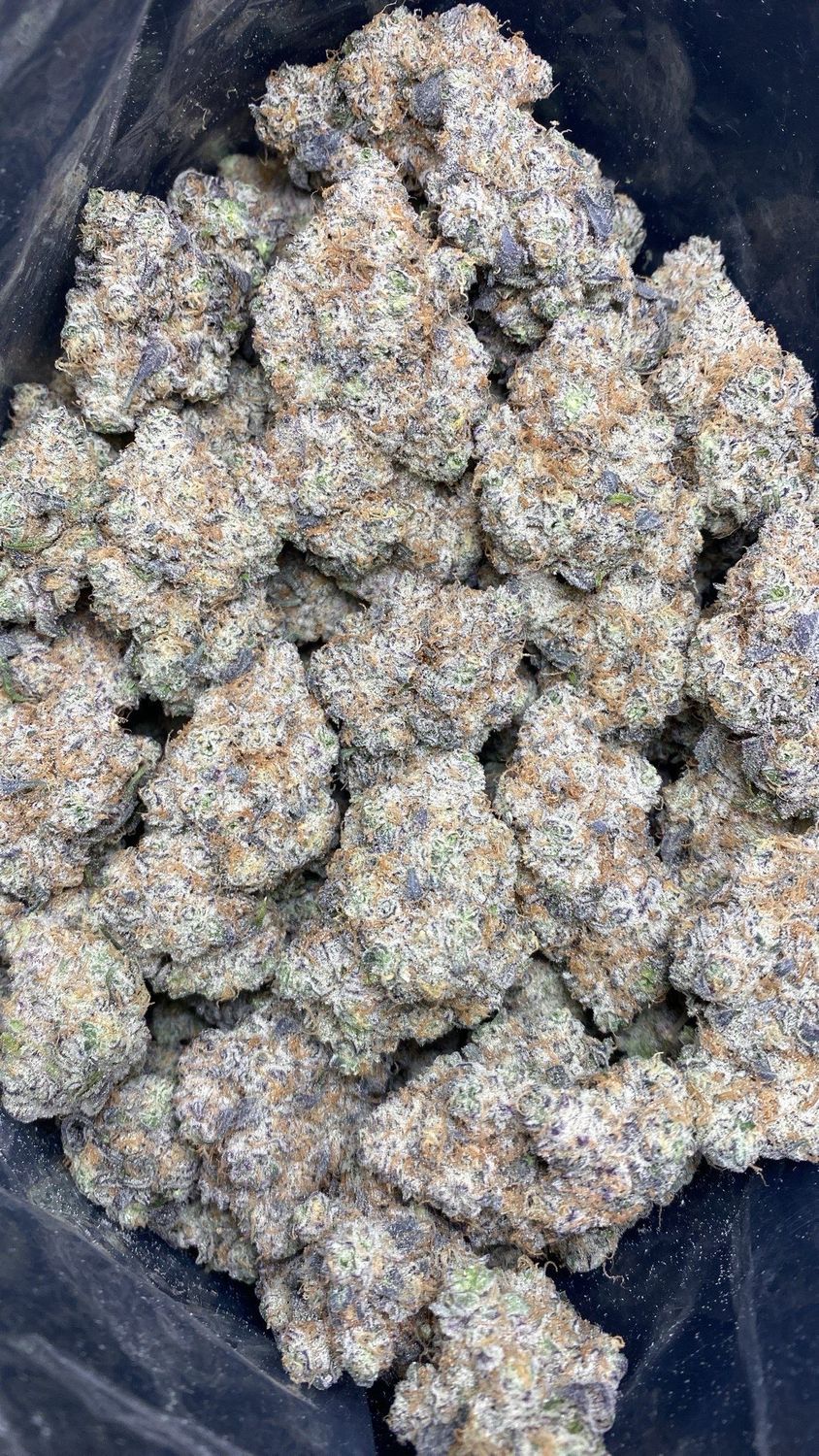 AAAA+ PLATINUM GARLIC MINTZ (LS0)