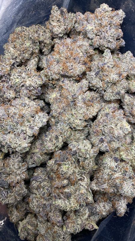 AAAA+ GAS MASK (LS0)