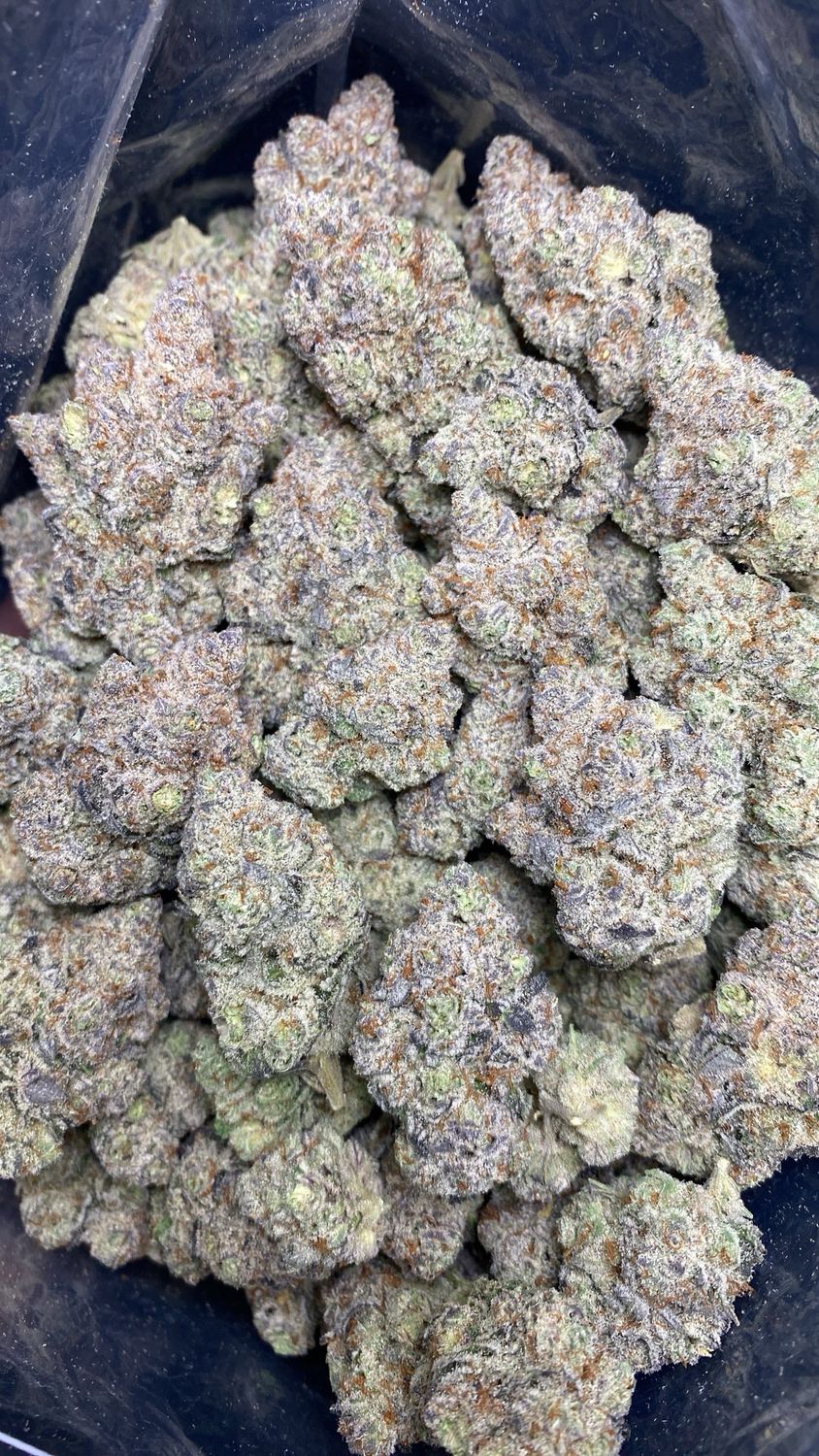 AAAA+ JIGGLERS (LS0)