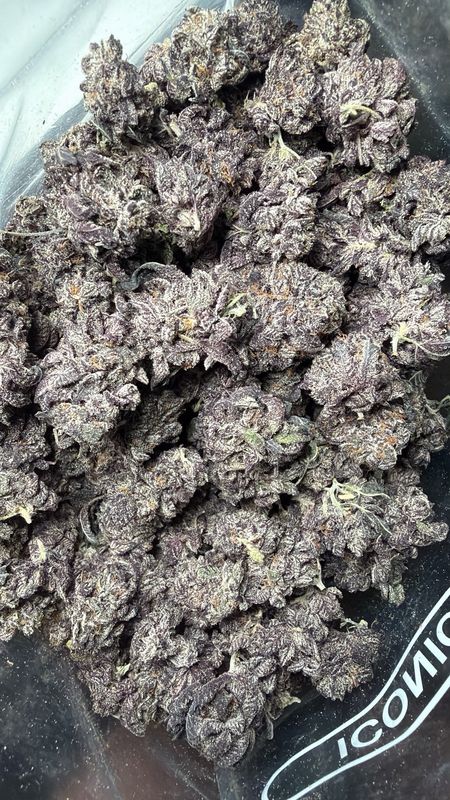 1OZ AAAA+ WHITE TRUFFLE (LSO) MEDIUMS