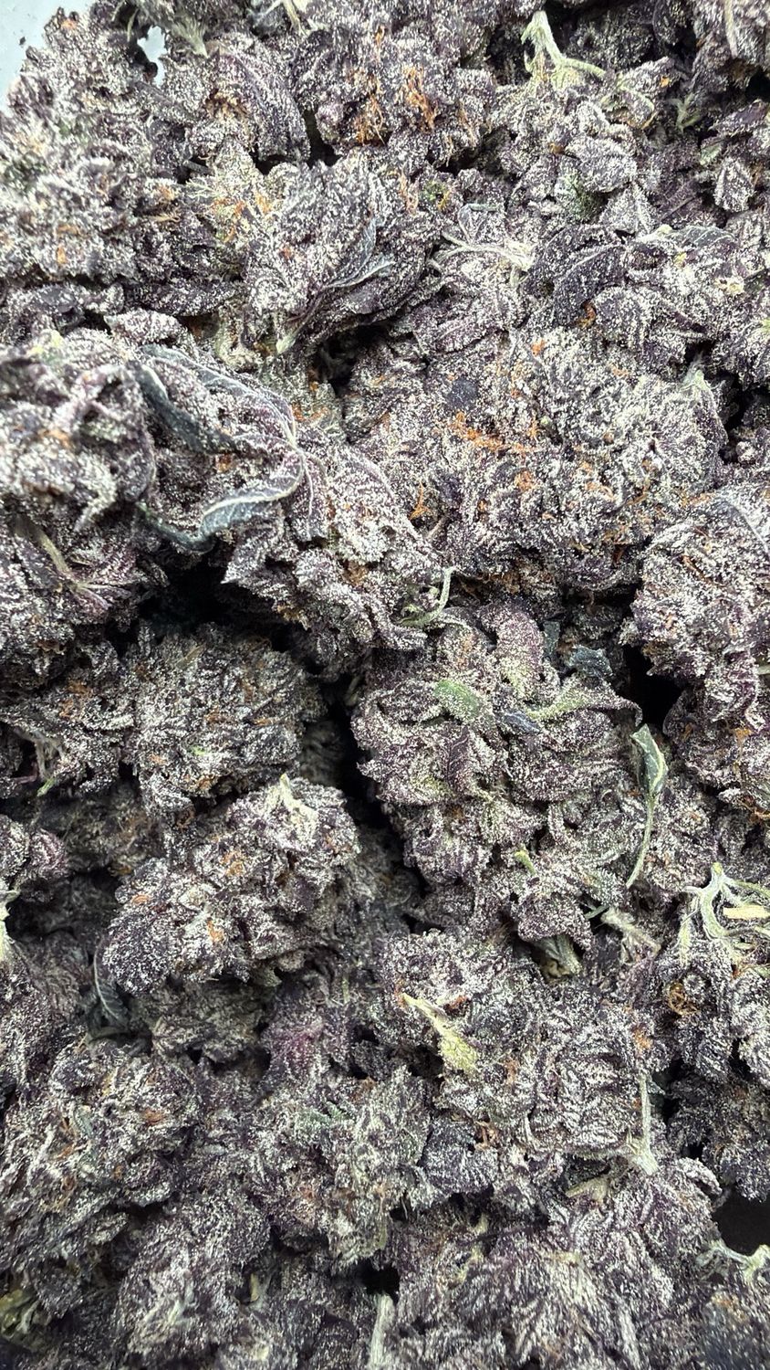 1OZ AAAA+ WHITE TRUFFLE (LSO) MEDIUMS