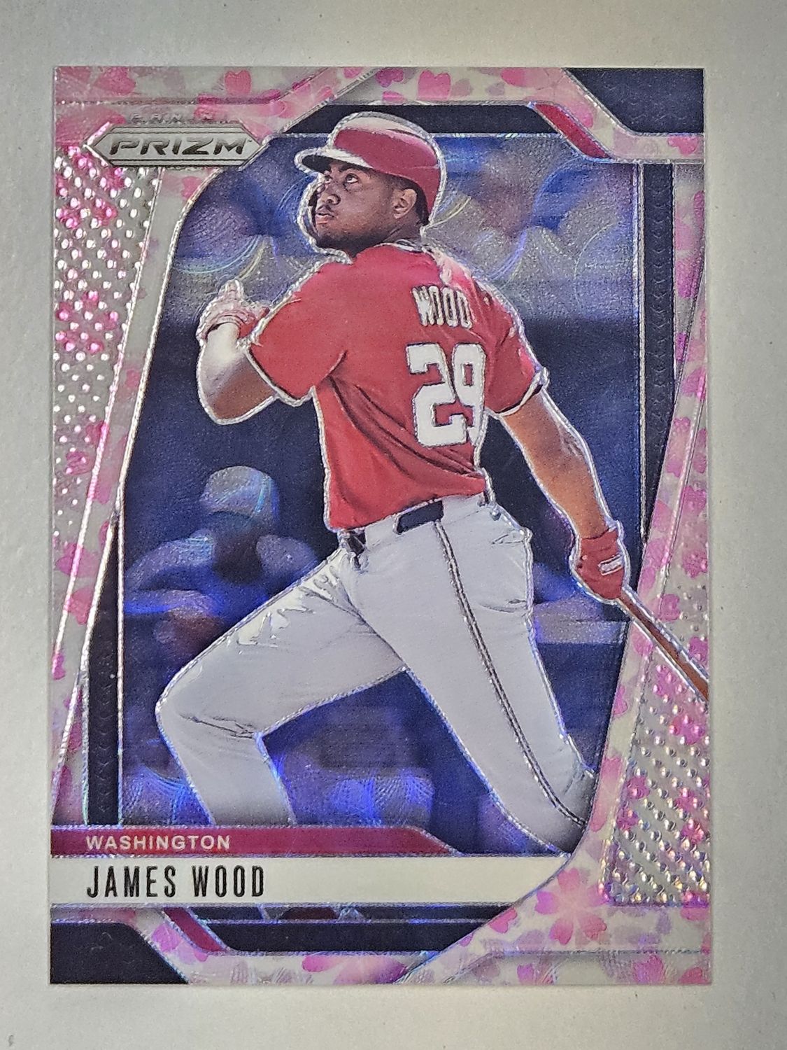 2025 James Wood Cherry Blossom 11/20
