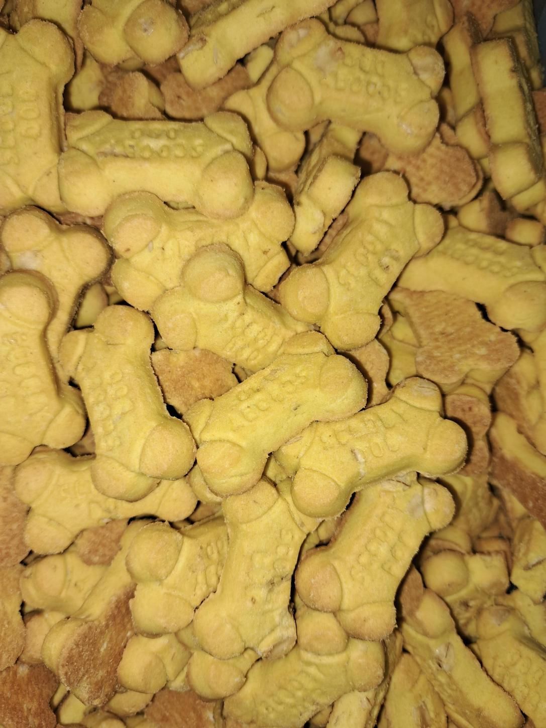 Scooby Snacks Cheese Flavour — Barking Happy Treats In Collombatti, NSW