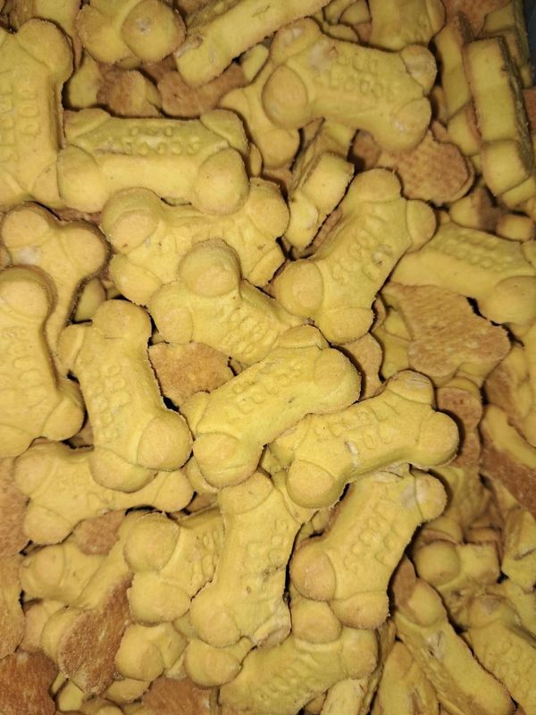 Scooby Snacks Cheese Flavour — Barking Happy Treats In Collombatti, NSW