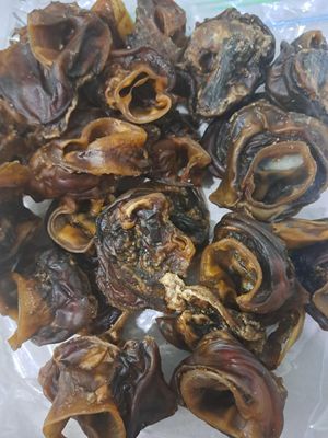 Beef Ear Scroll — Barking Happy Treats In Collombatti, NSW