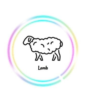 Lamb