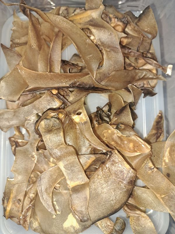 Beef Ear Strips