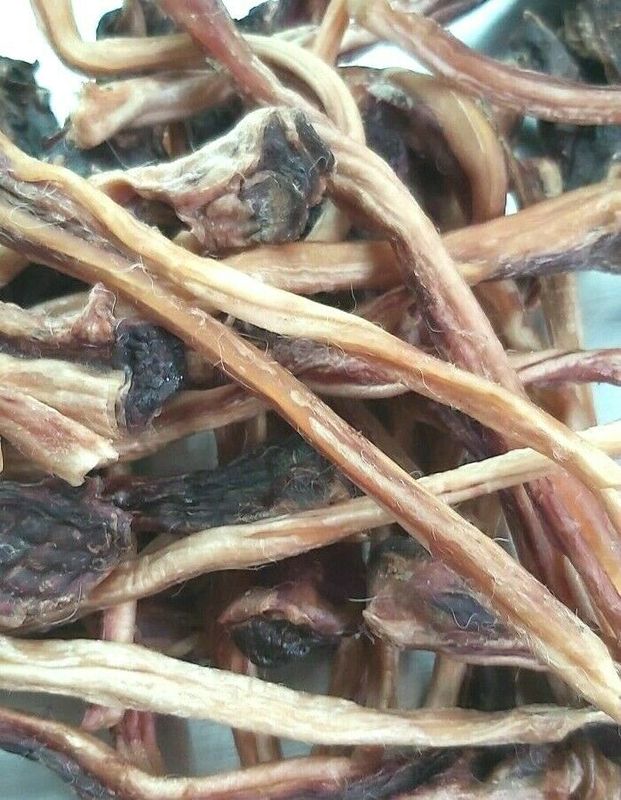 Kangaroo Tendons