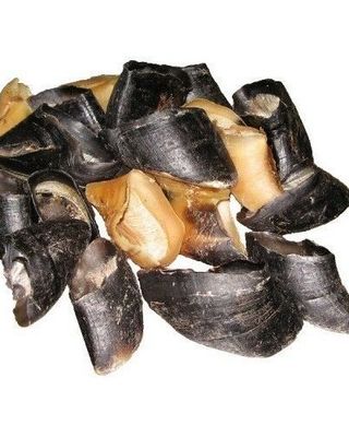 Cow Hooves