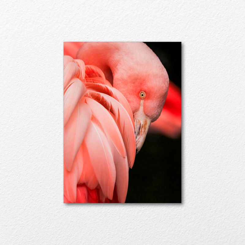 Pink Elegance Pink Elegance