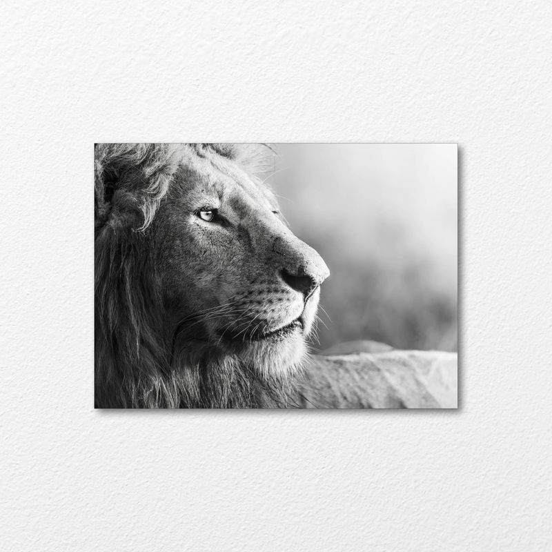 Majestic King Majestic King