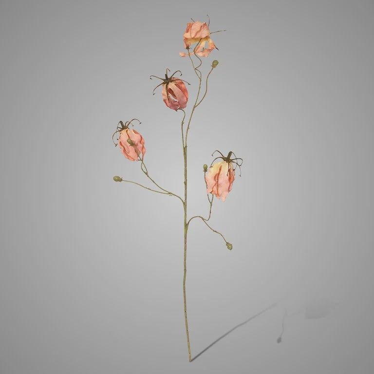 Gloriosa Pink 80 cm