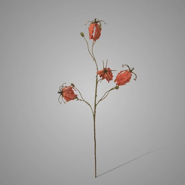 Gloriosa Pink 80 cm, Colour: Pink