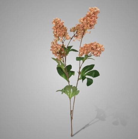 Hortensia khaki