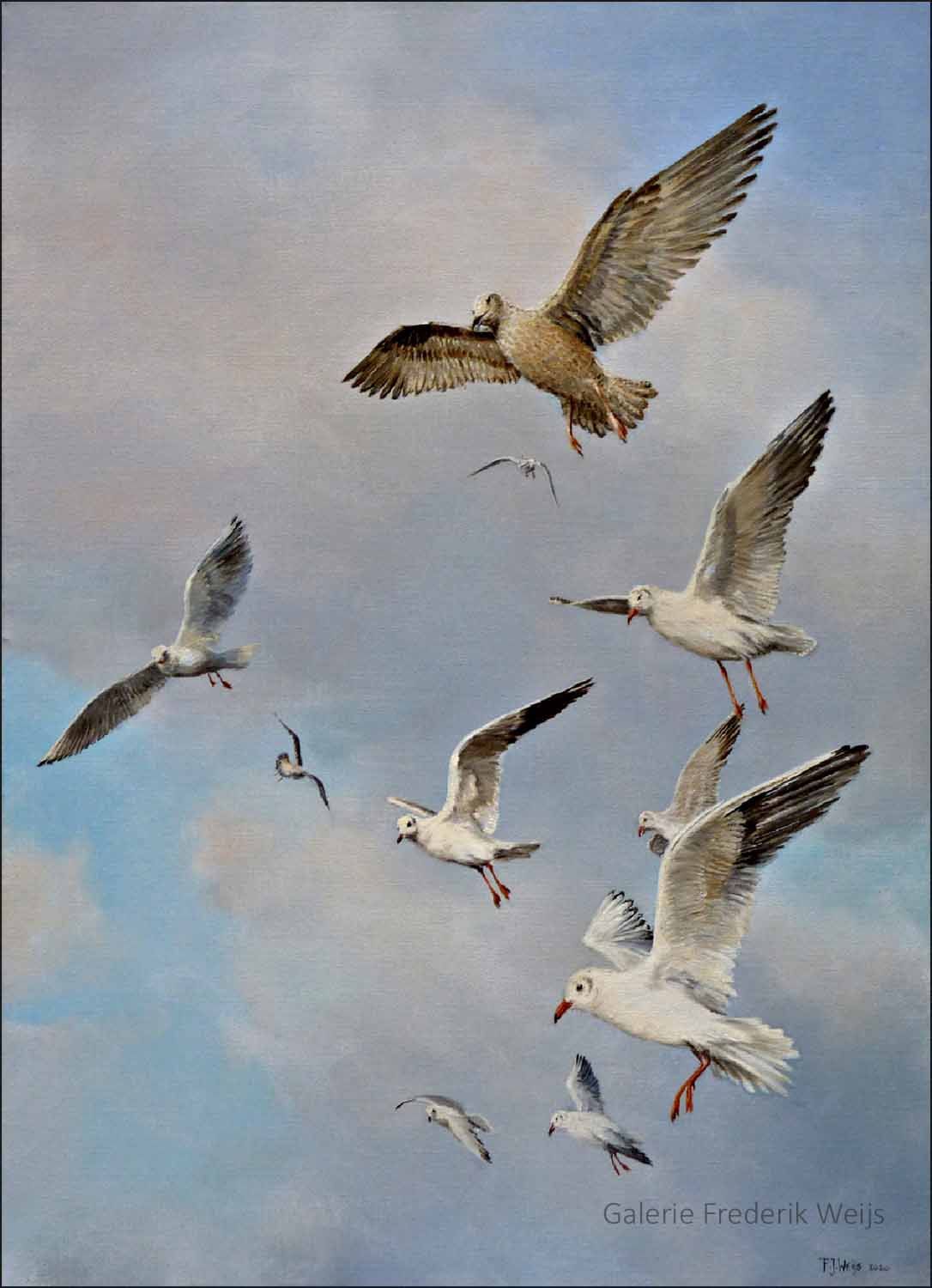 Kunstkaart meeuwen