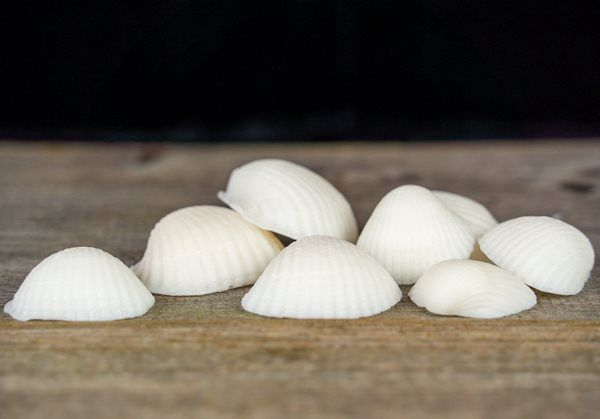 Schelpenzeep 8 stuks