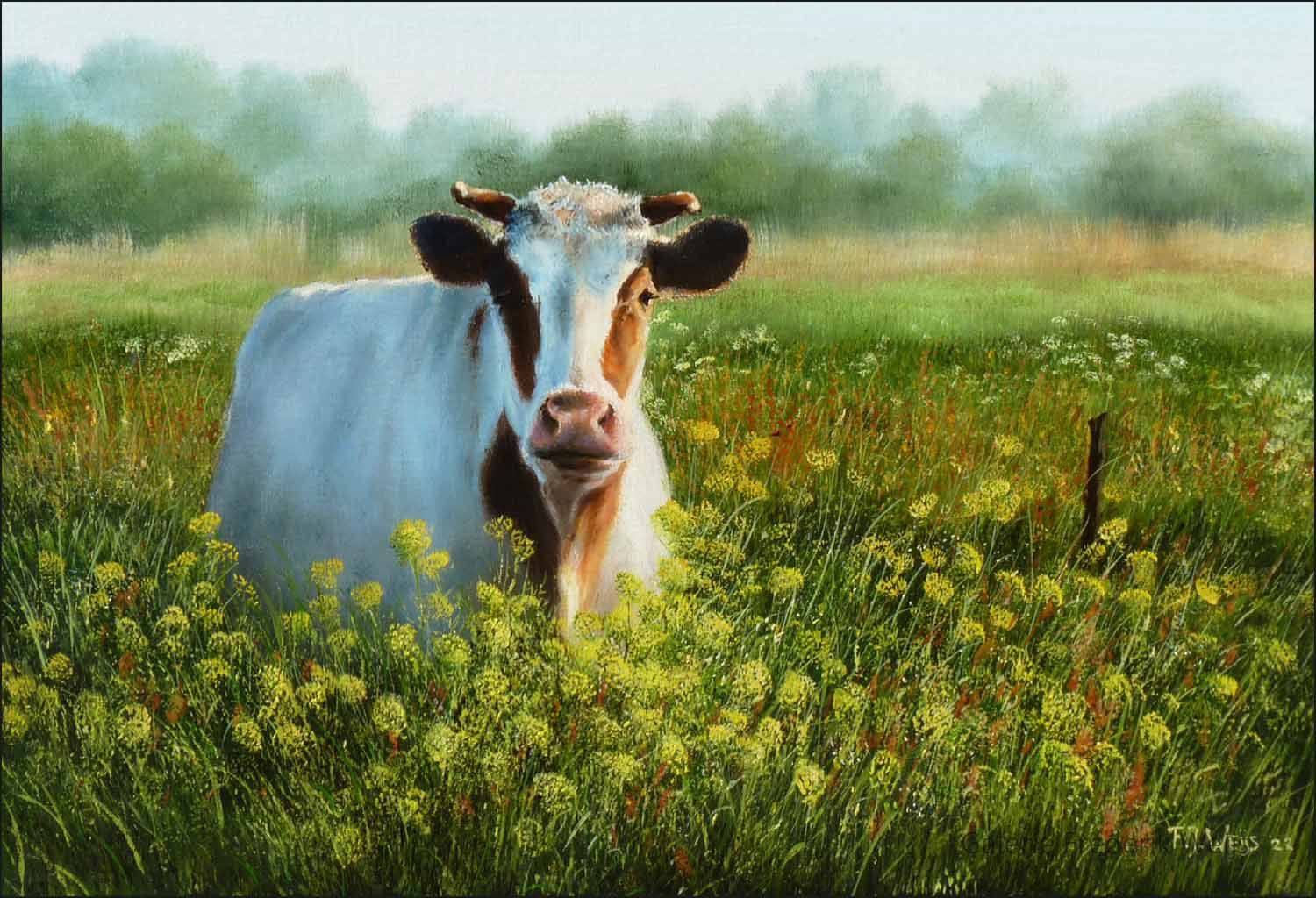 Koe in weiland (963) tuinposter 80x110
