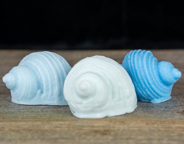 Zeepschelpen Aqua