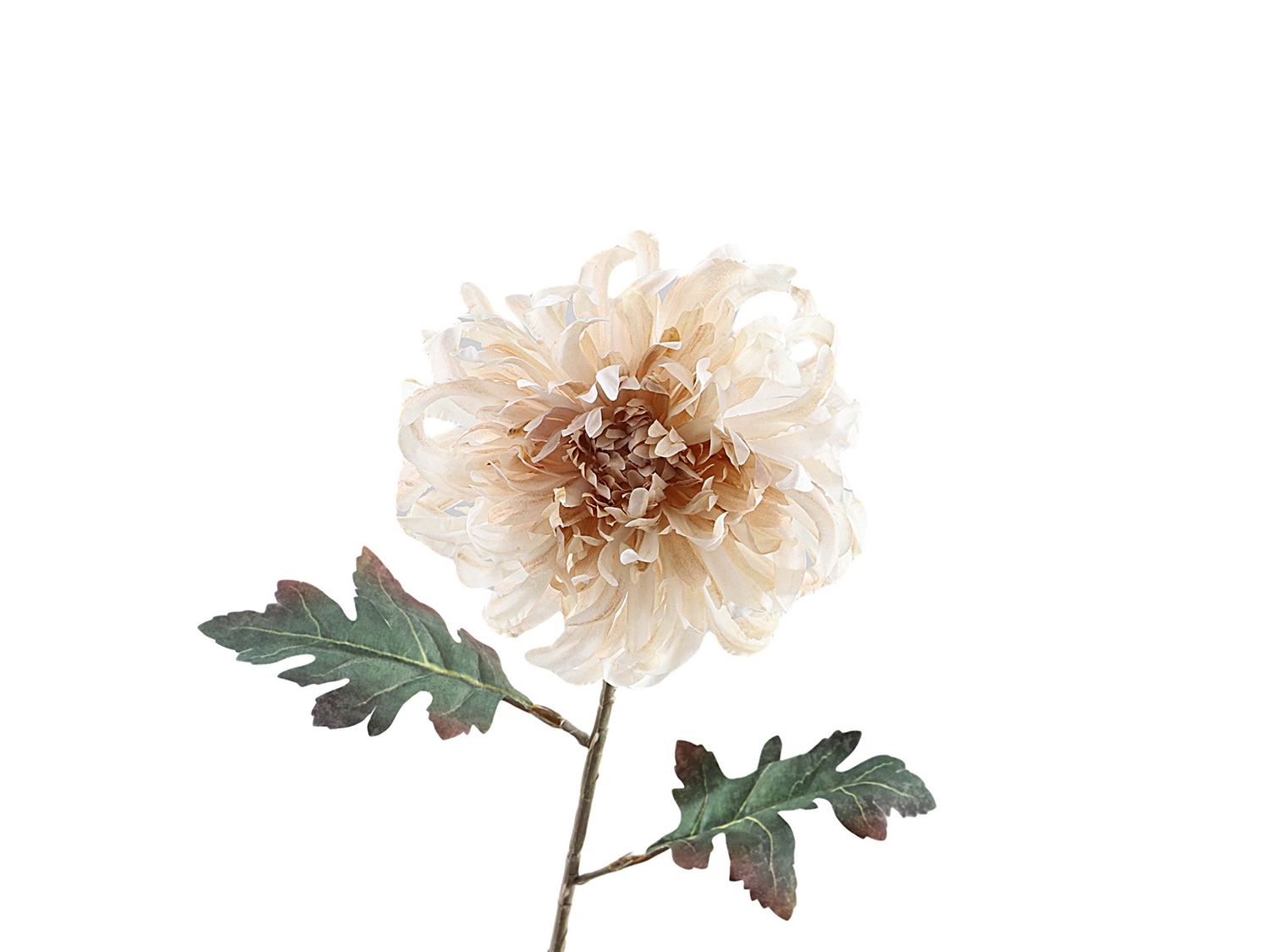 Chyrsant Beige 68 cm