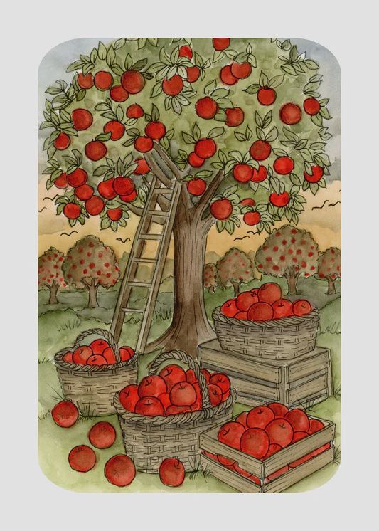 Kaart met afbeelding appelboomgaard