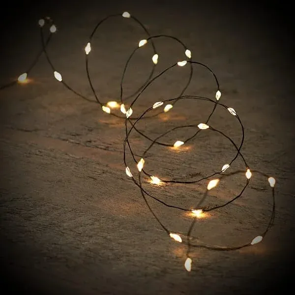 ledlichtjes 1 meter 10 lichtjes