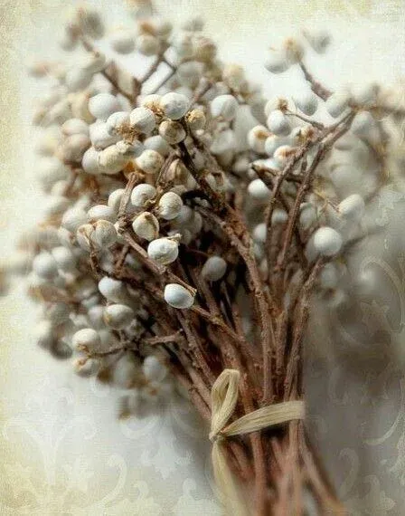 Decobordje witte besjes bundel