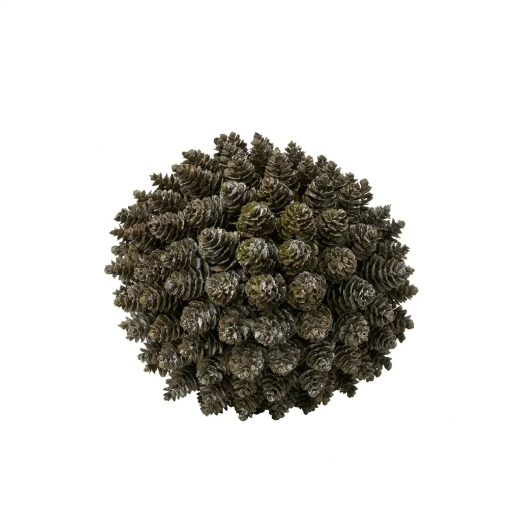 Dennenappel bol - twee afmetingen, Size: M (20)