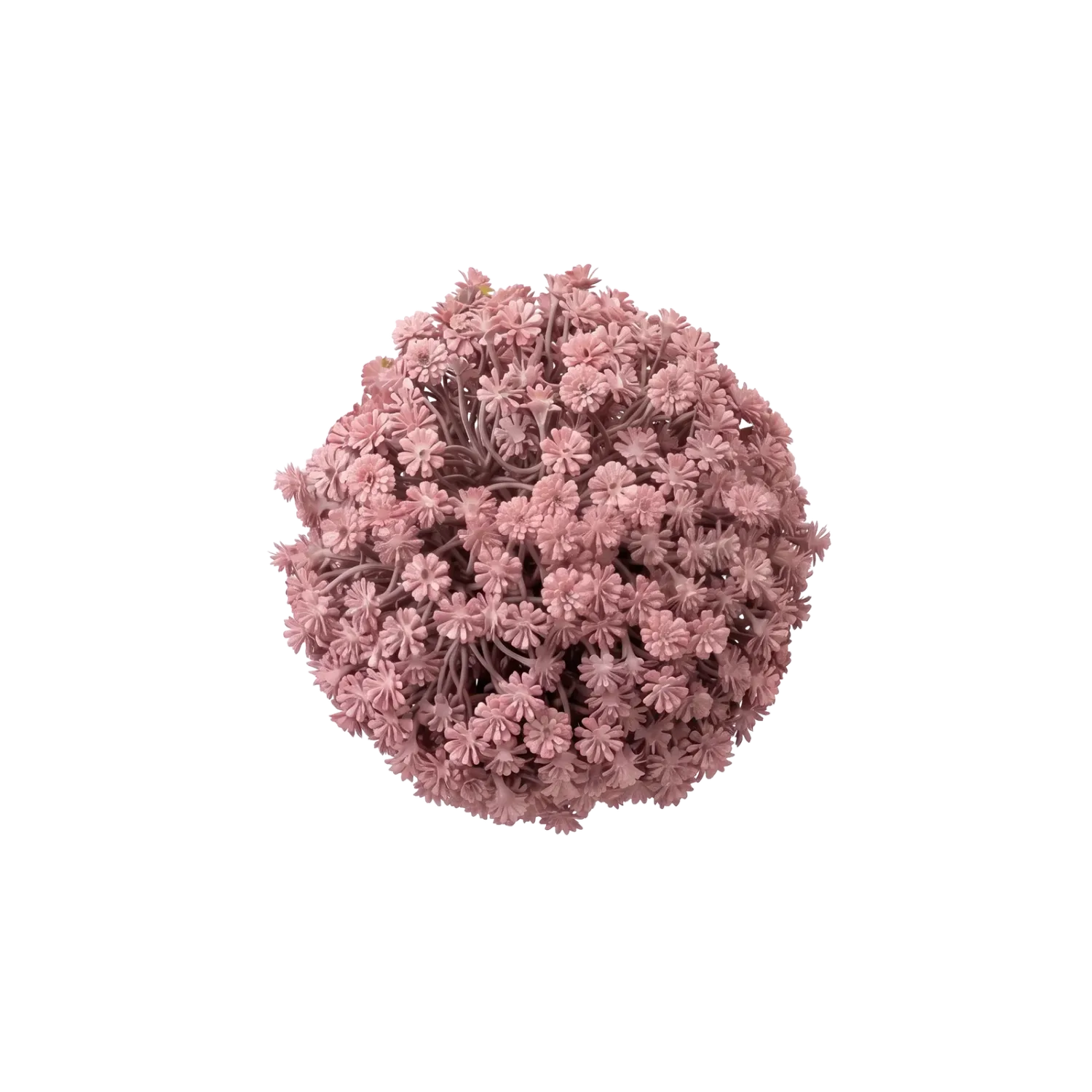 Gypsophila Bol Pink
