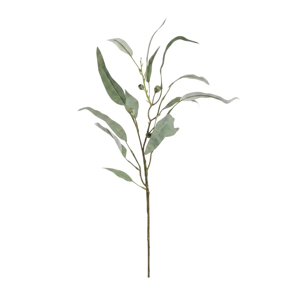 Eucalyptus tak spray