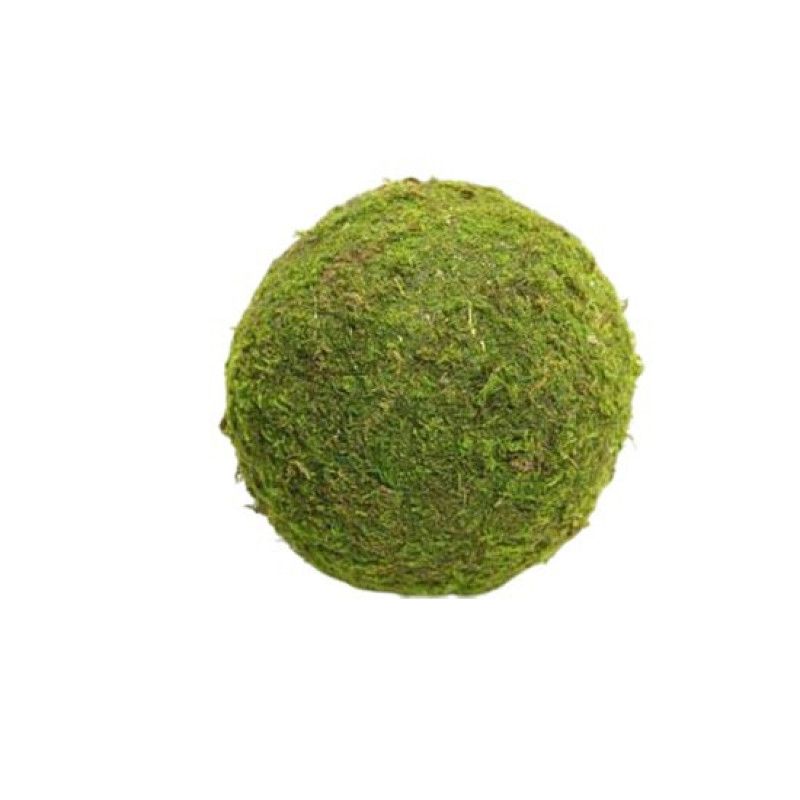 Ball Asia Moss D8