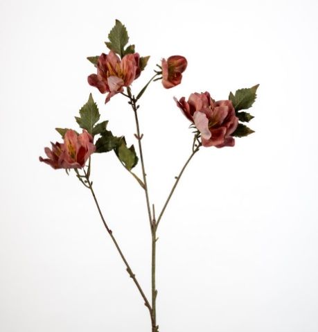 Helleborus x4 L79cm old pink