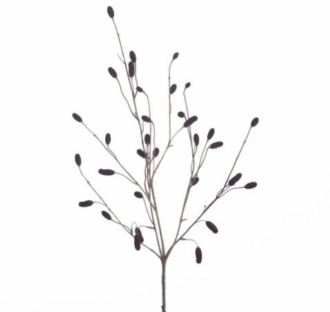Sanguisorba x5 L97cm burgundy