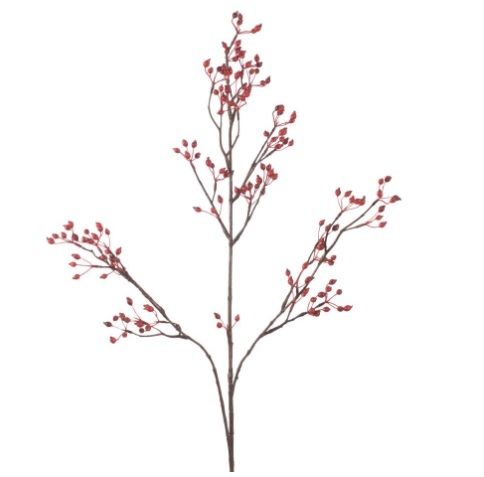 Rozenbottel Corallo Spray L99cm rood