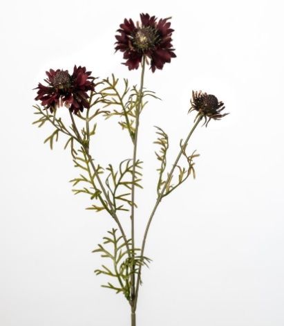 Korenbloem x3 L68cm burgundy (actie)