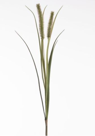 Pennisetum x2 L88cm green