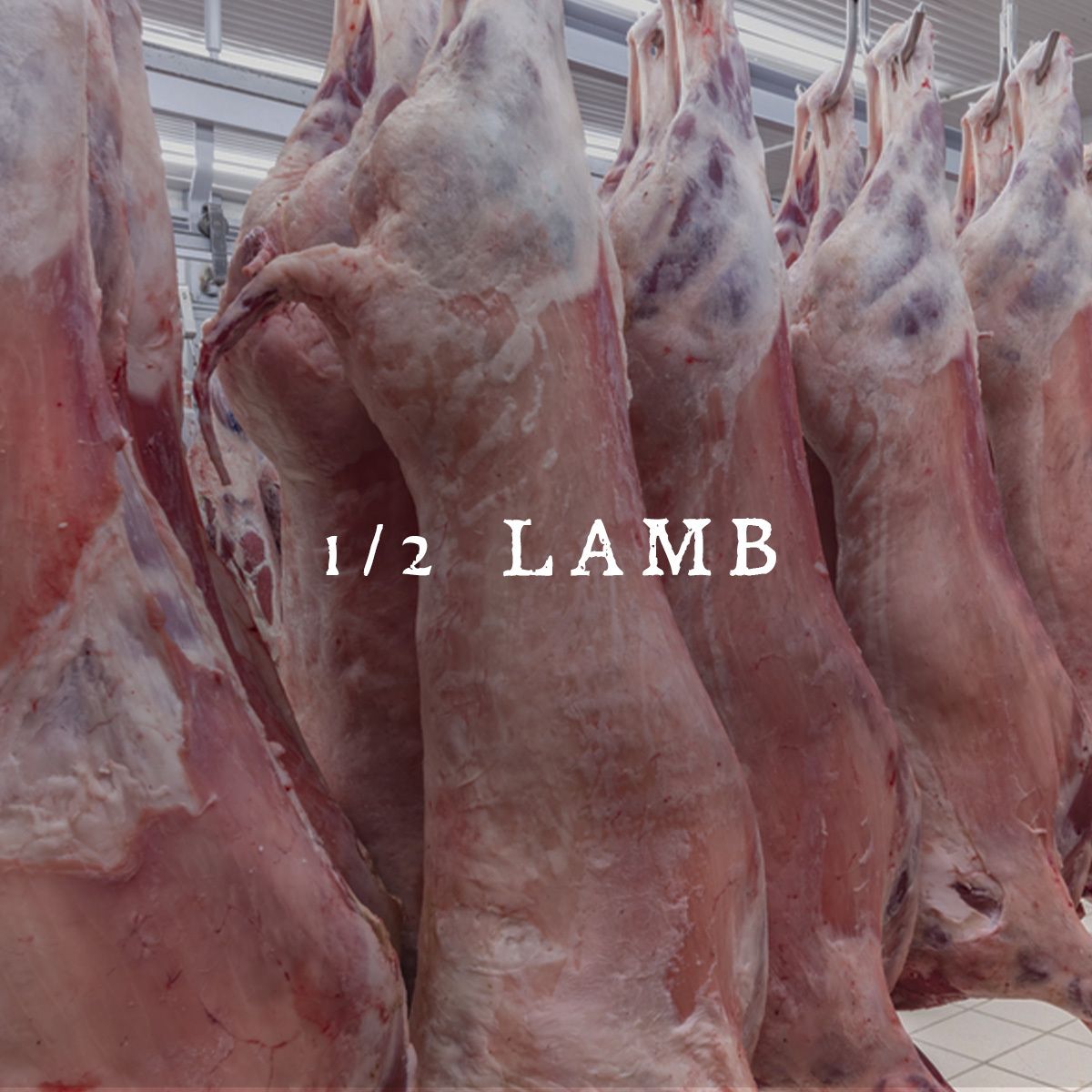 1/2 Lamb