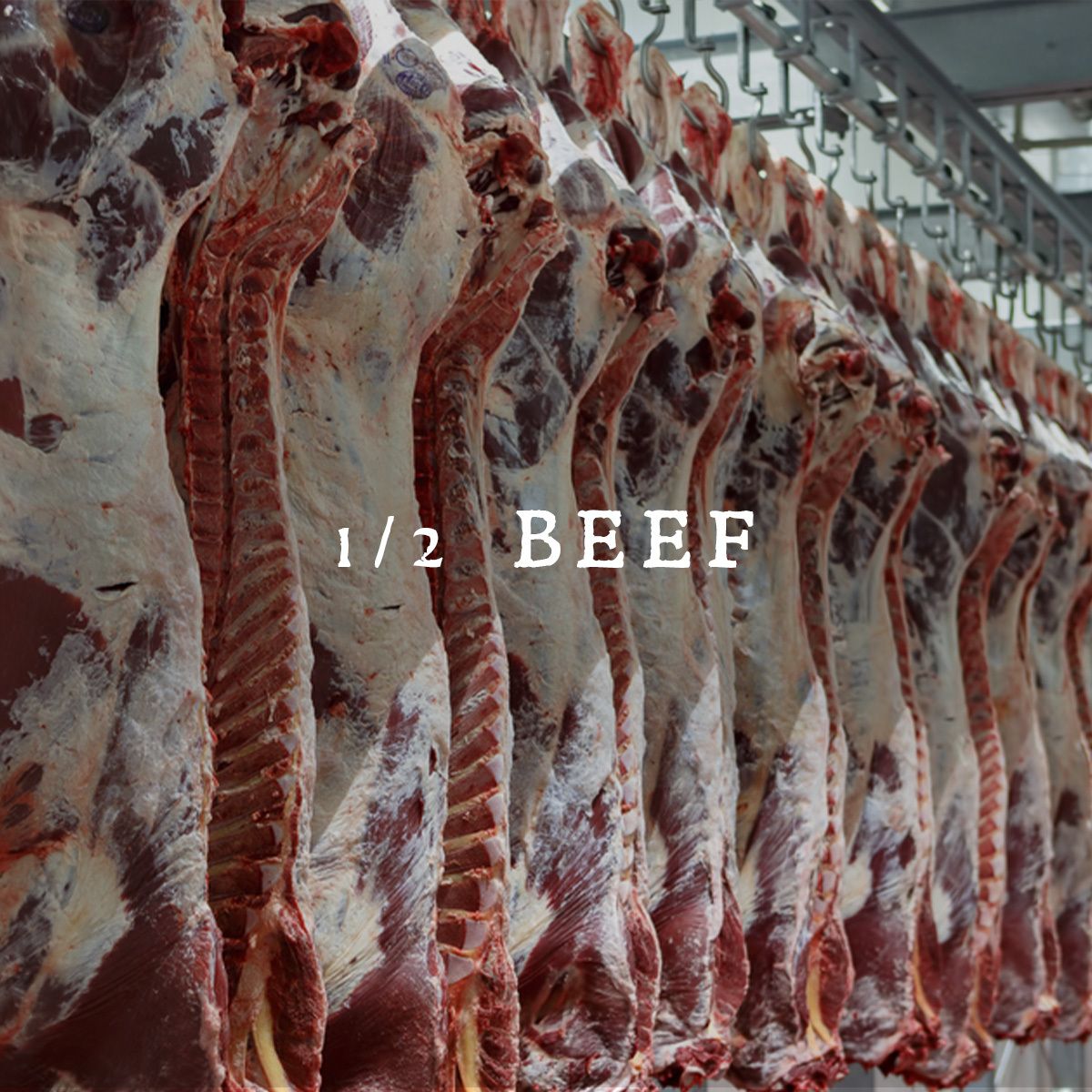 1/2 Beef