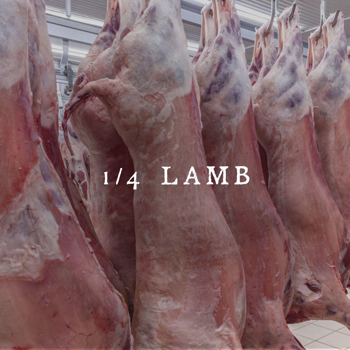 1/4 Lamb