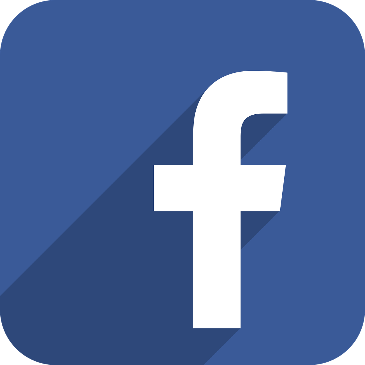 Facebook Page Followers/Likes