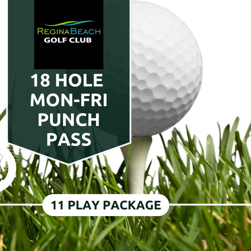 18 Hole (M-F)-11 Play Punch