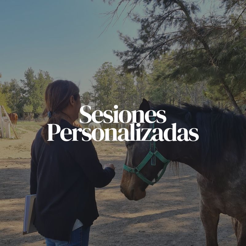 Sesiones Personalizadas