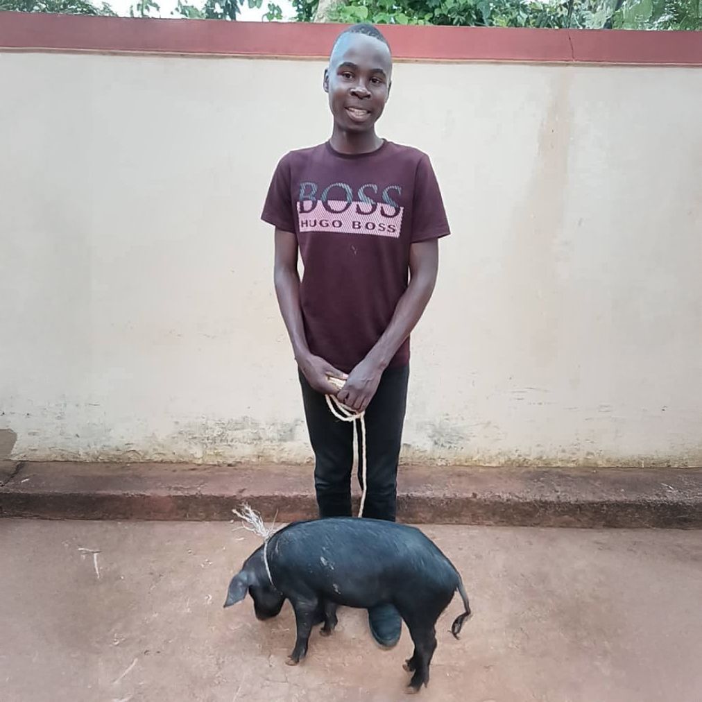 Pig (Haiti)