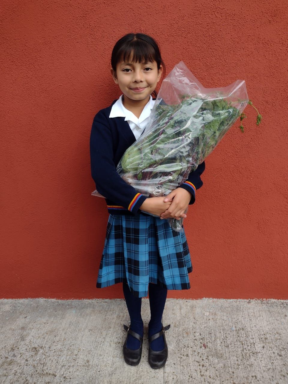 09. Vegetable Basket Monthly 1 Year (Guatemala)
