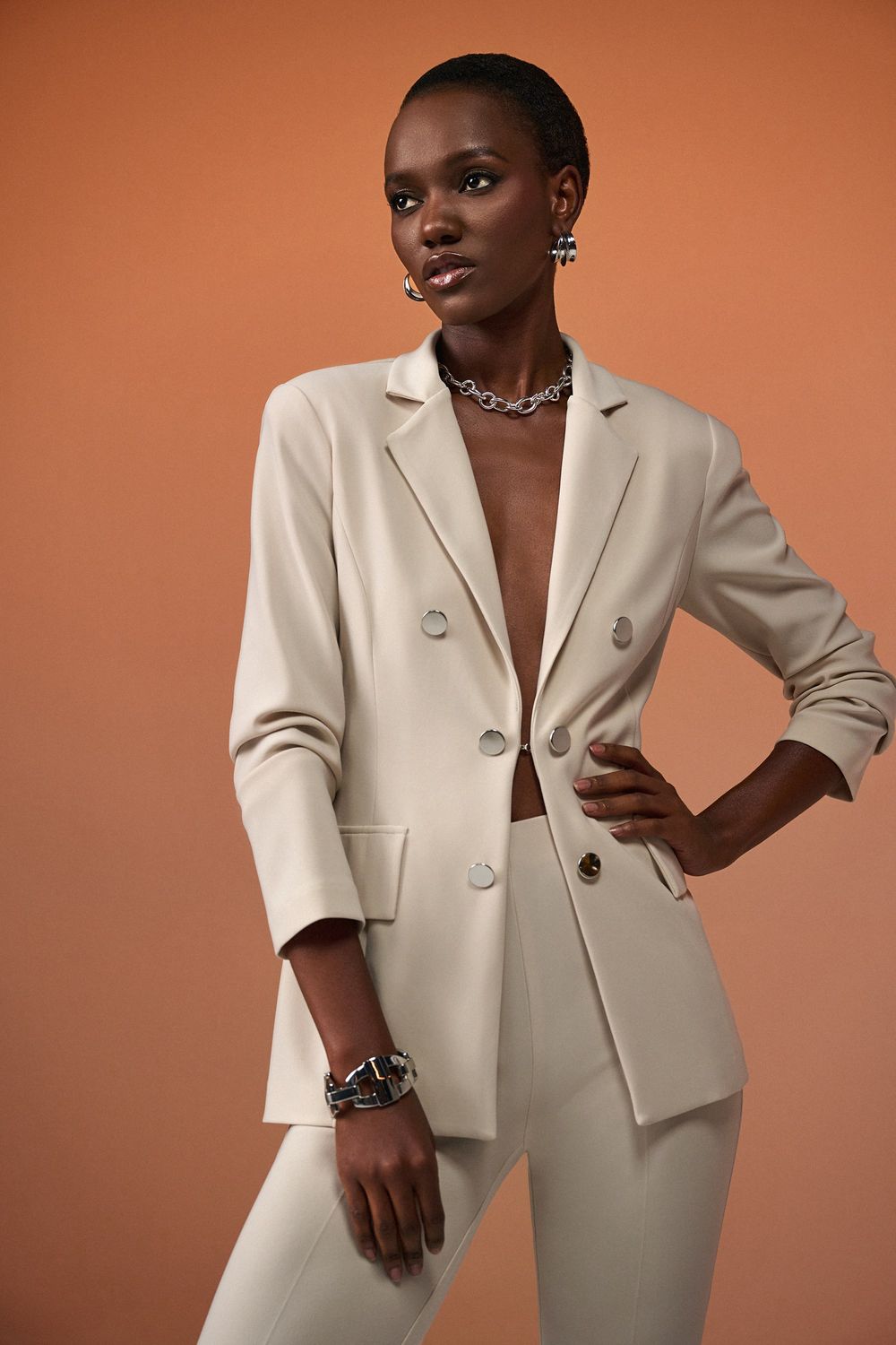 Ribkoff Silky Knit Fitted Blazer - 241145